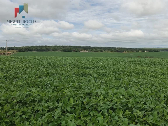 Imagem Fazenda região Itapetininga SP