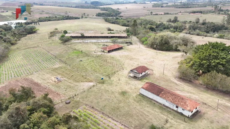 Imagem Sítio região de Itapetininga SP