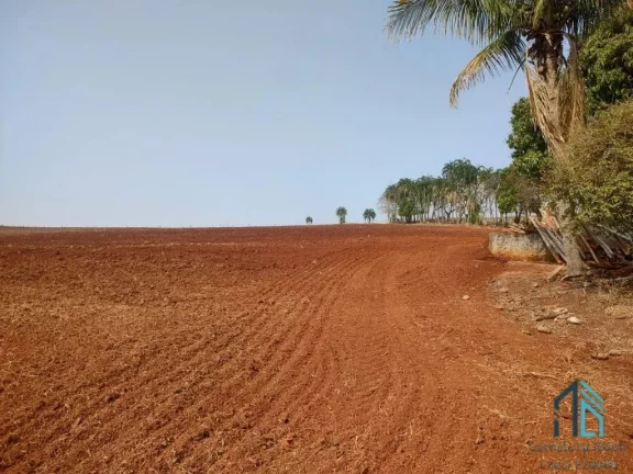 Foto do imóvel Sítio 30 alqueires extra imperdível - Oportunidade Única! em Cornélio Procópio PR