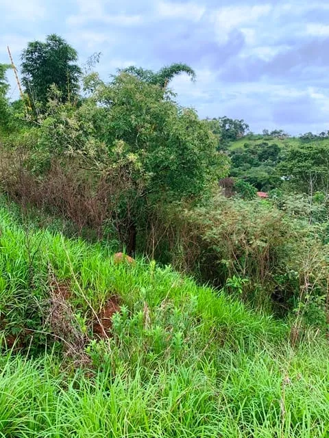 Imagem Chácara à venda 1666.67M², Goiabal, Pindamonhangaba - SP