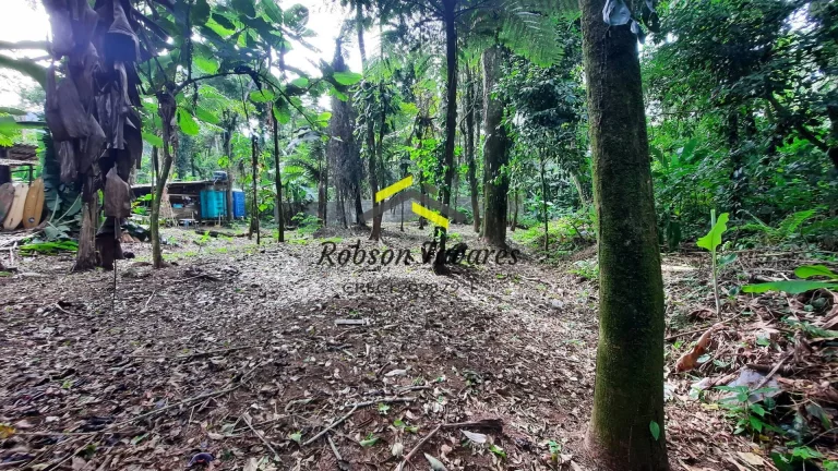 Imagem Oportunidade !!! Terreno em condomínio Itamambuca Ubatuba -SP