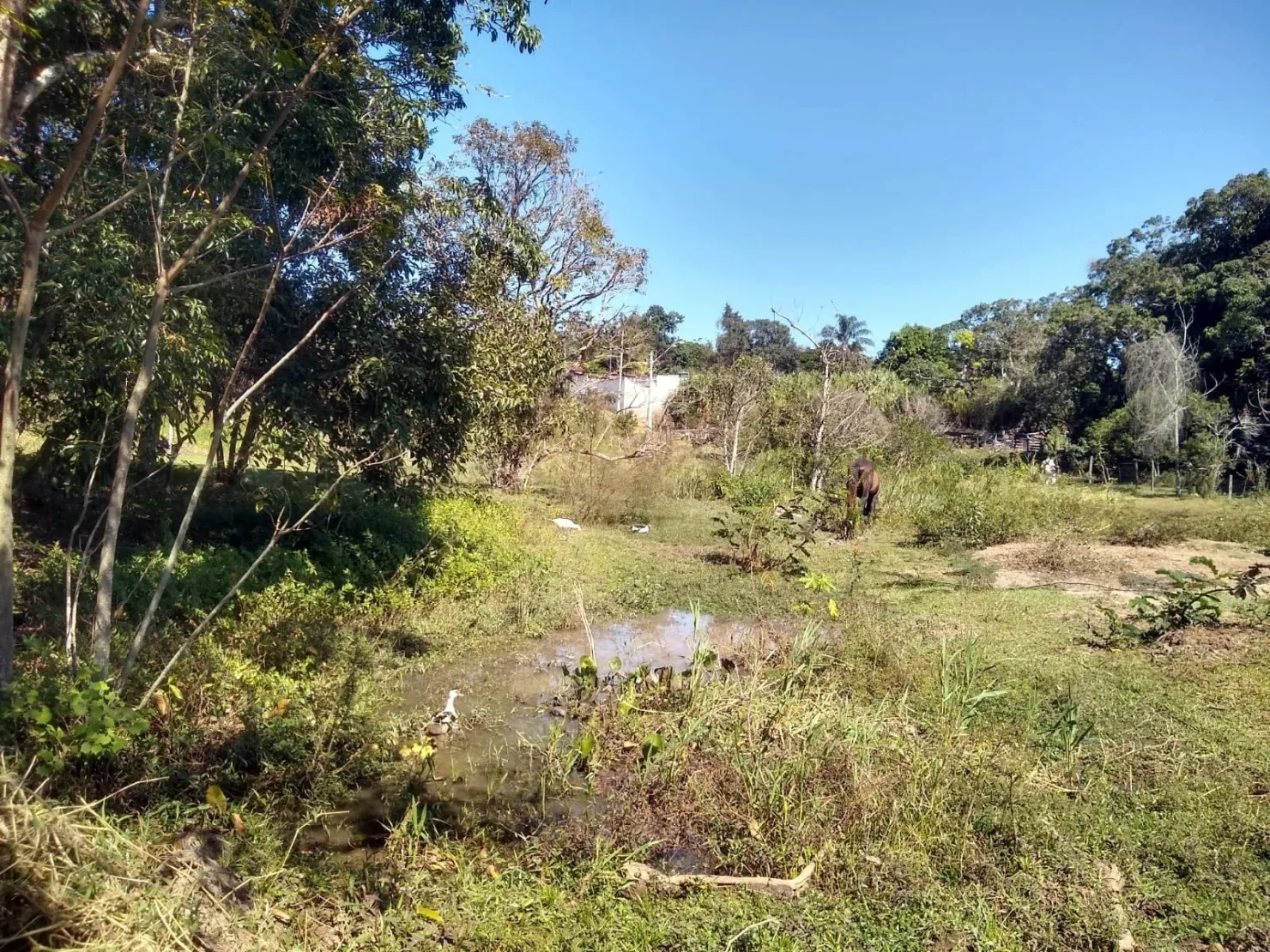 Imagem Chácara à venda, Bosque dos Ipês, Guaratinguetá, SP