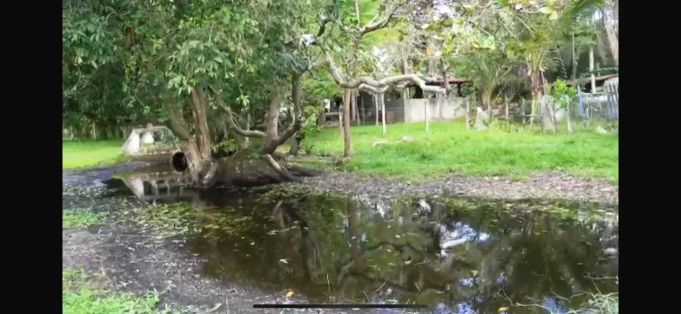 Imagem Linda Granja há 4 km de João Pessoa