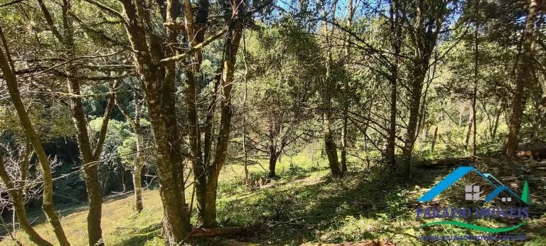 Imagem Terreno Rural na Serra da Mantiqueira | Sertão do Cantagalo