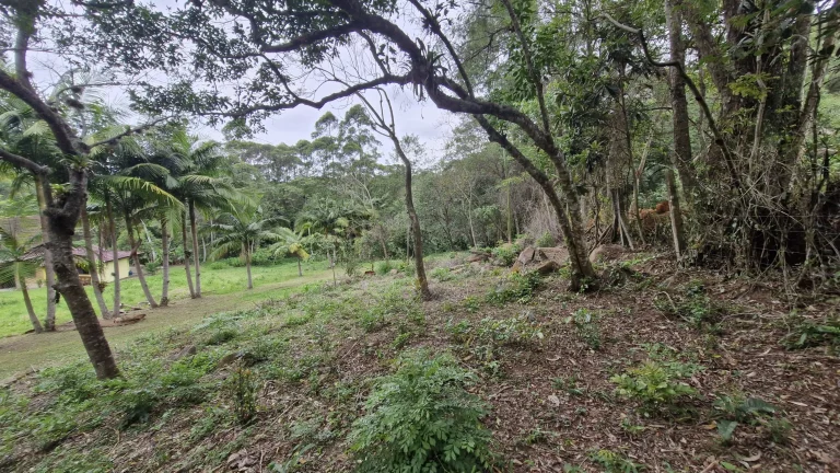 Imagem Terreno de 1.528m² à venda no Bairro Encantada, Garopaba-SC - Oportunidade!