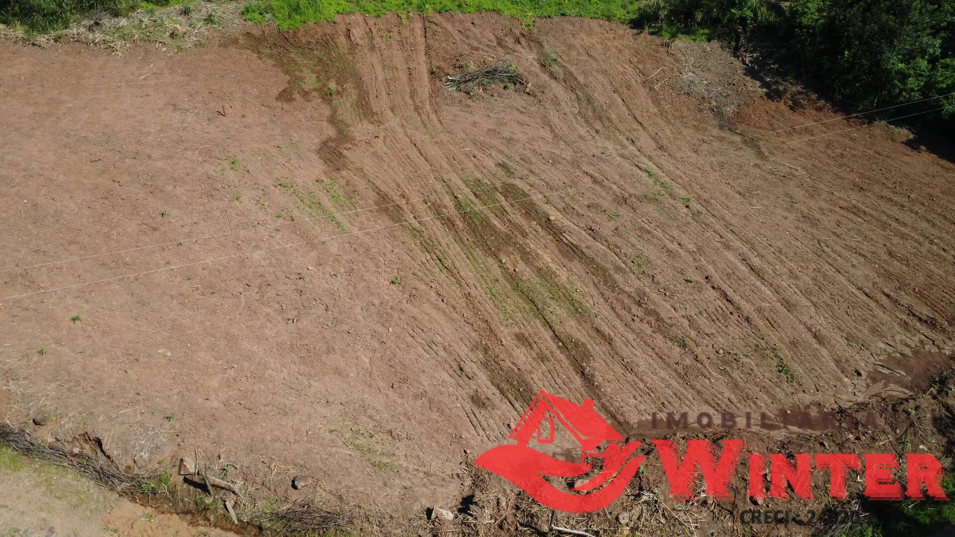 Imagem Área de terras com 10 hectares em Linha Nova