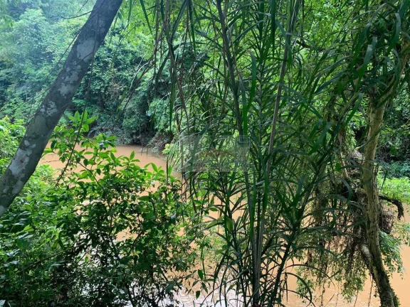 Imagem TERRENO PILAR DO SUL