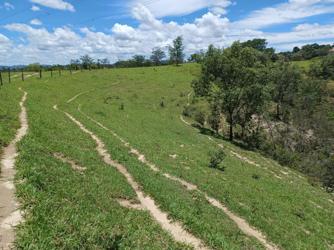 Imagem Vendo excelente fazendinha em Esmeraldas/MG 78 hectares de terra