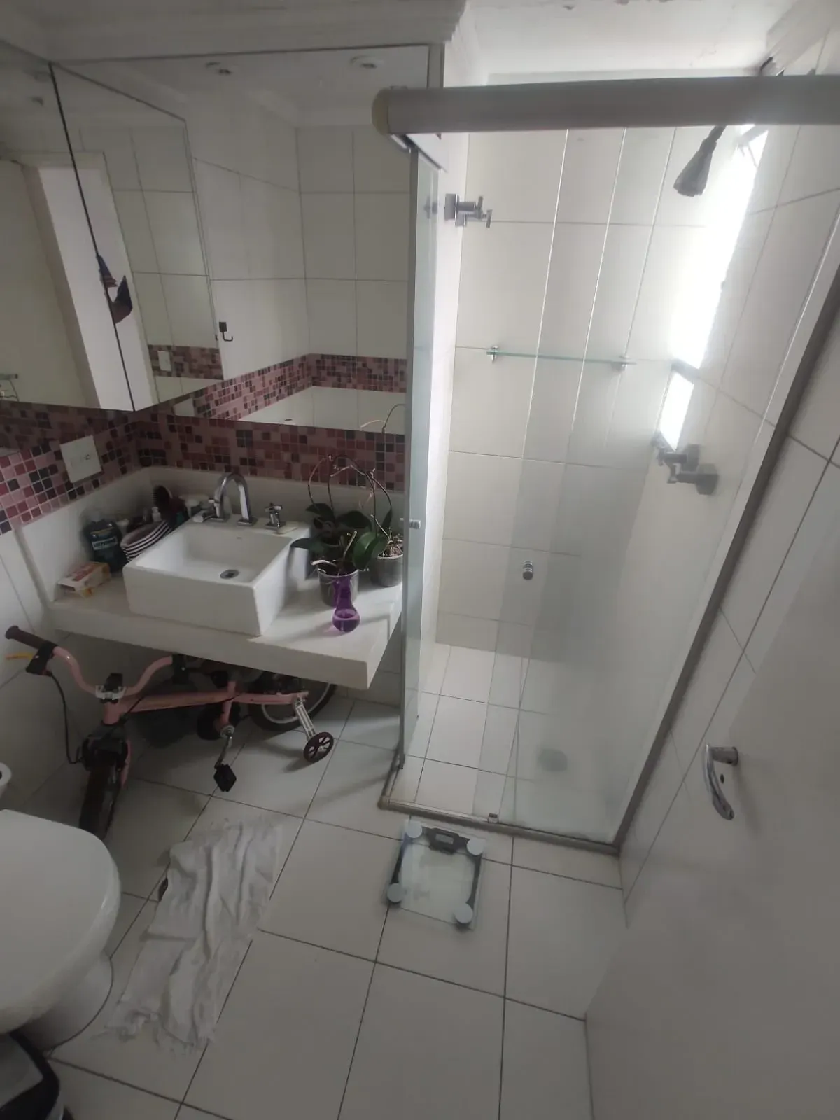 Imagem Apartamento com 3 Quartos à Venda, 65 m² em Nossa Senhora do Ó - São Paulo