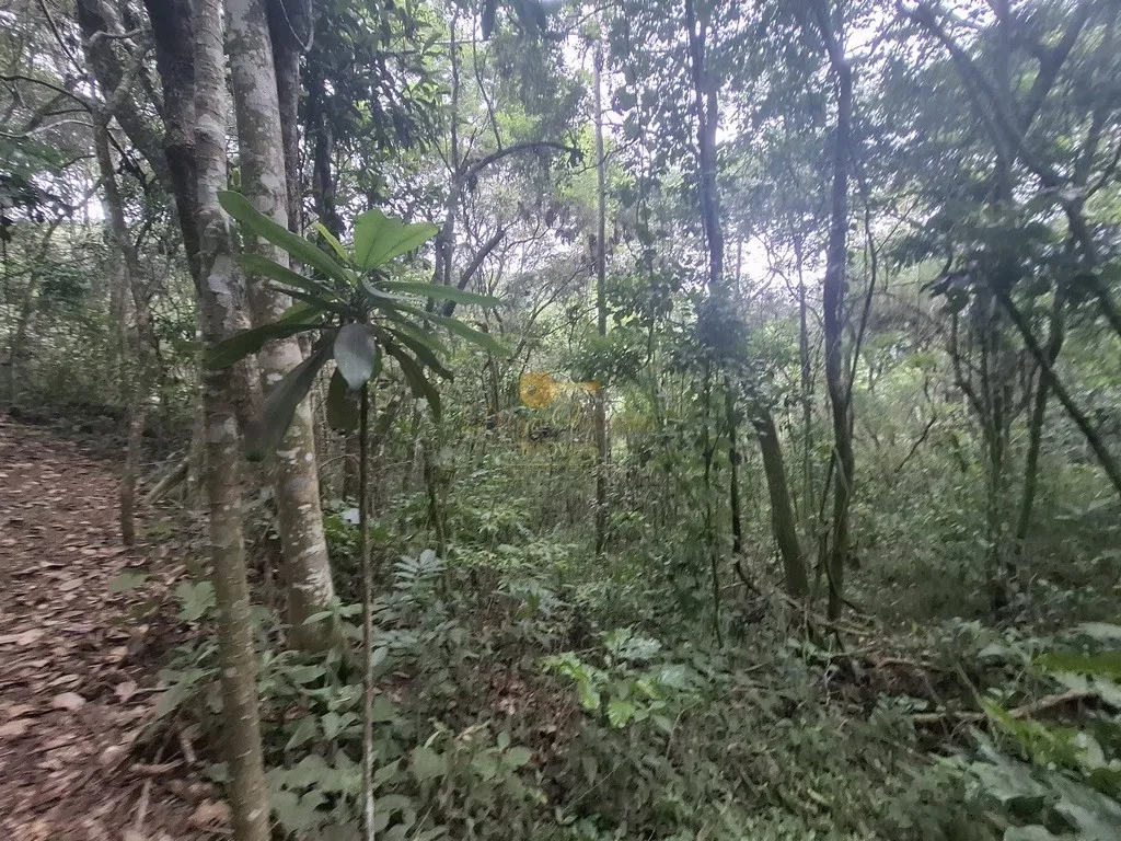 Imagem Terreno para Venda em Teresópolis / RJ no bairro Córrego das Pedras