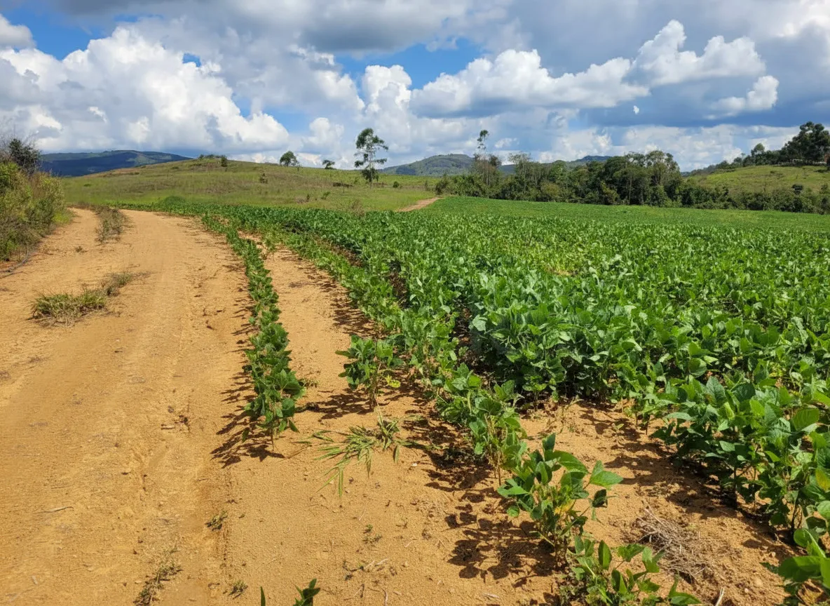 Imagem Fazenda 142,78 ha à venda em Área Rural, Caldas