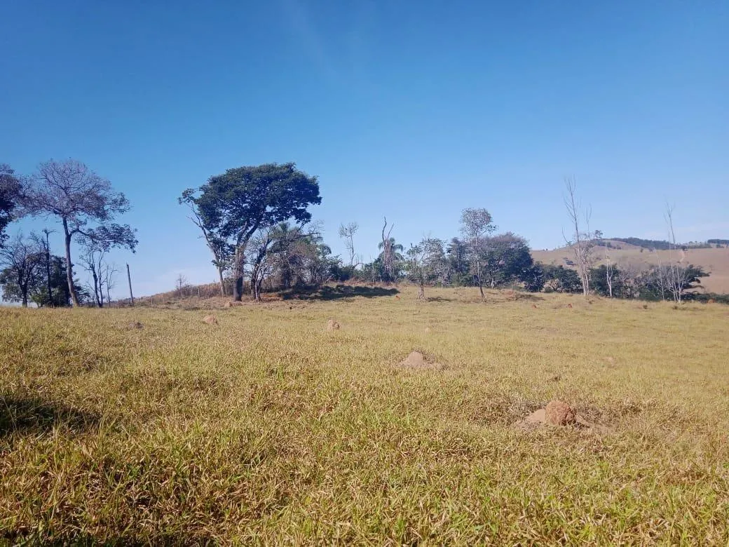 Imagem Venda de Fazenda em Crucilândia 48 hectares de terra
