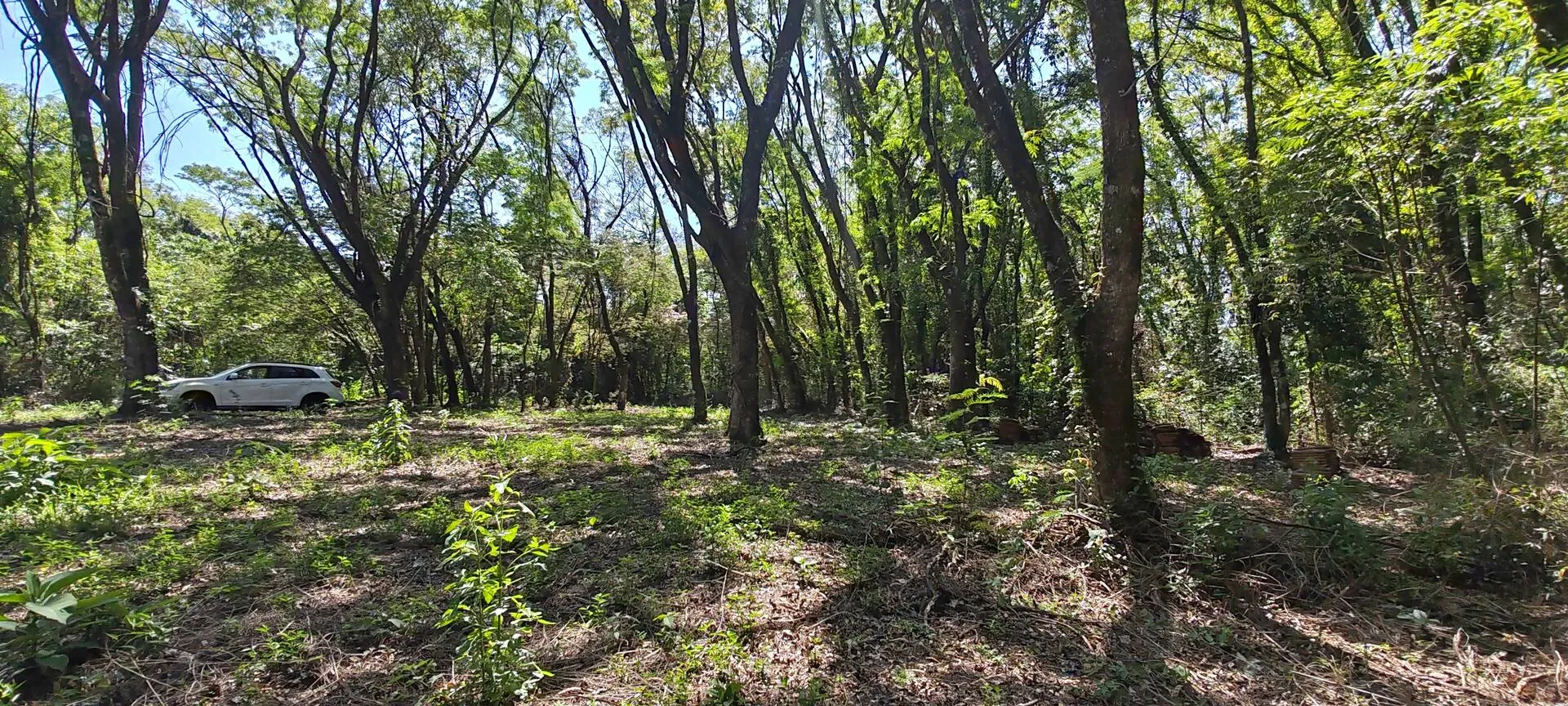 Imagem Chácara a venda em Cascavel, com 2,0992 hectare cada uma e matrícula indiviauais.