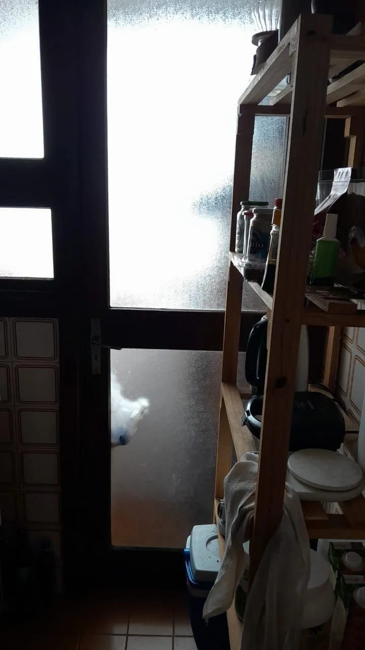 Imagem Ótimo apartamento 1 quarto,andar alto com sacada, na Fernando machado