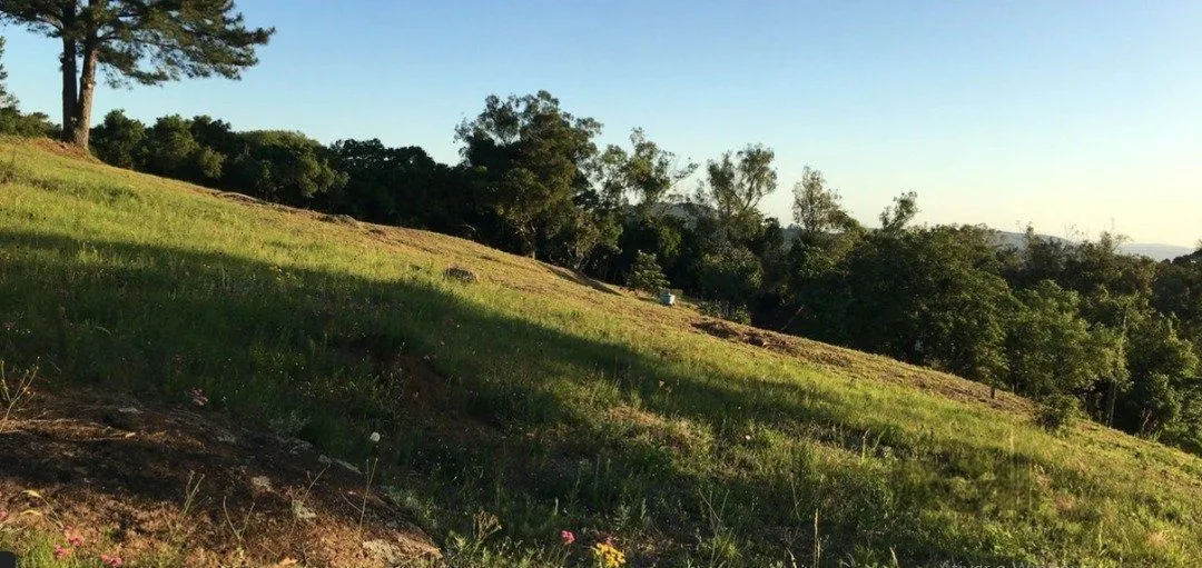 Imagem Terreno em Vila Nova
