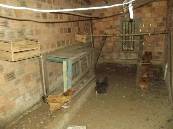 Imagem Sítio com 1.600m², Casa reformada, Galpão, arborizado, Águas Claras