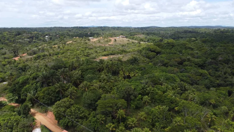 Foto do imóvel Excelente terreno em Itacaré cerca de 2 km do centro da cidade com linda vista para formosa peníns...