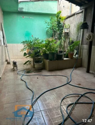 Imagem CASA DE TRES QUARTOS VILA CELESTE