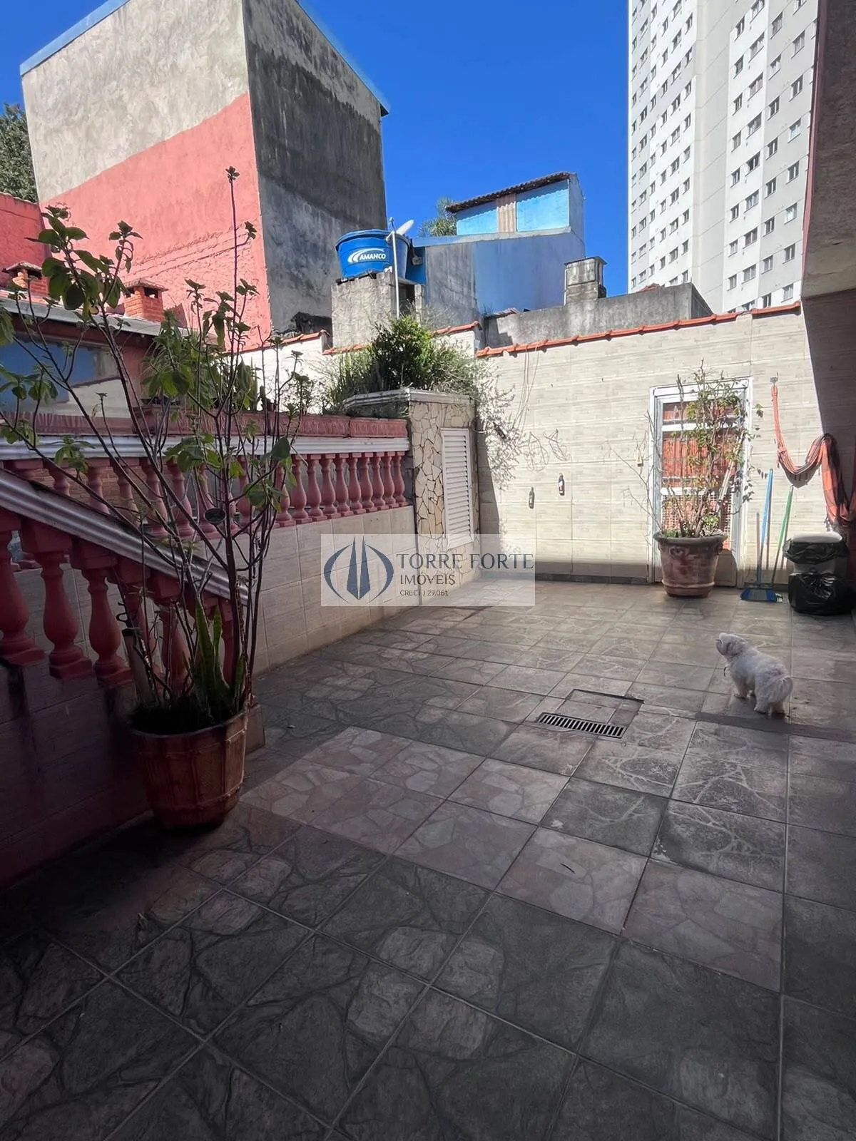 Imagem Casa Grande com 4 dormitorios 1 suite 4 vagas na Vila Matilde