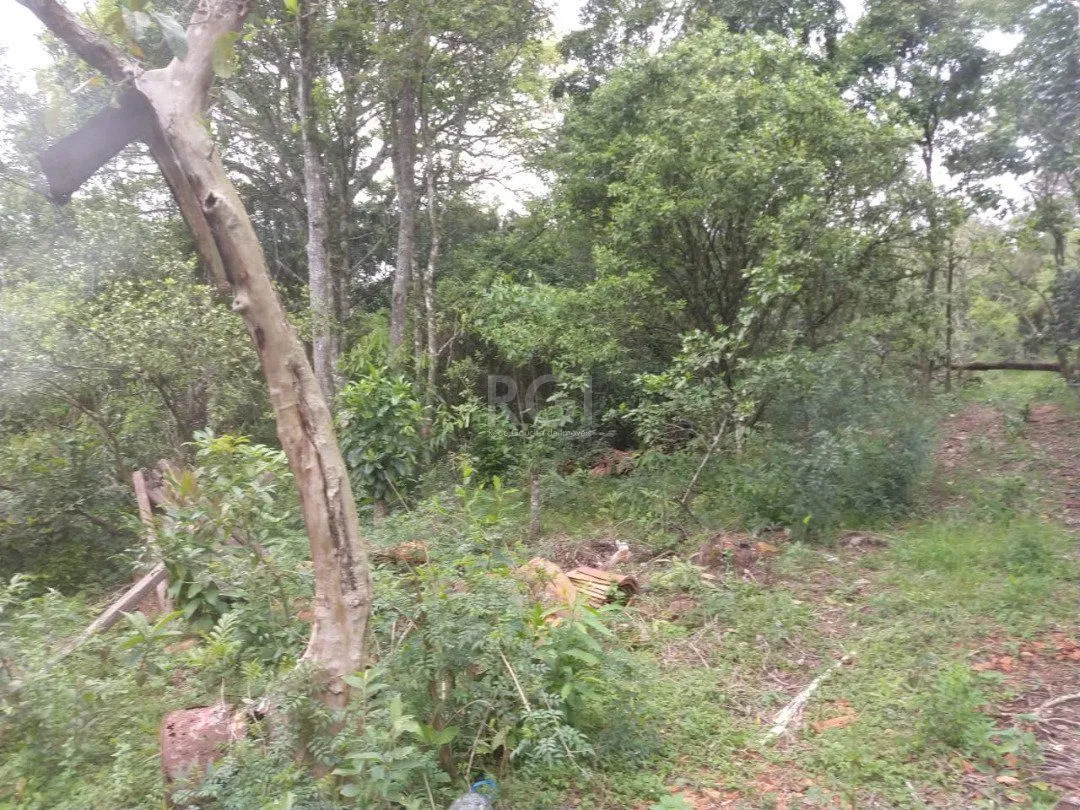Imagem Área para Venda - 11,39ha, bairro Belém Velho