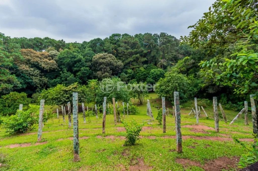 Imagem Terreno em Nonoai