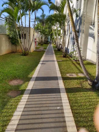 Imagem Apartamento com 3 Quartos à Venda, 50 m² em Jardim Santa Terezinha (Zona Leste) - São Paulo