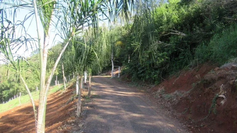 Imagem Terreno para Venda em Itá, Interrior