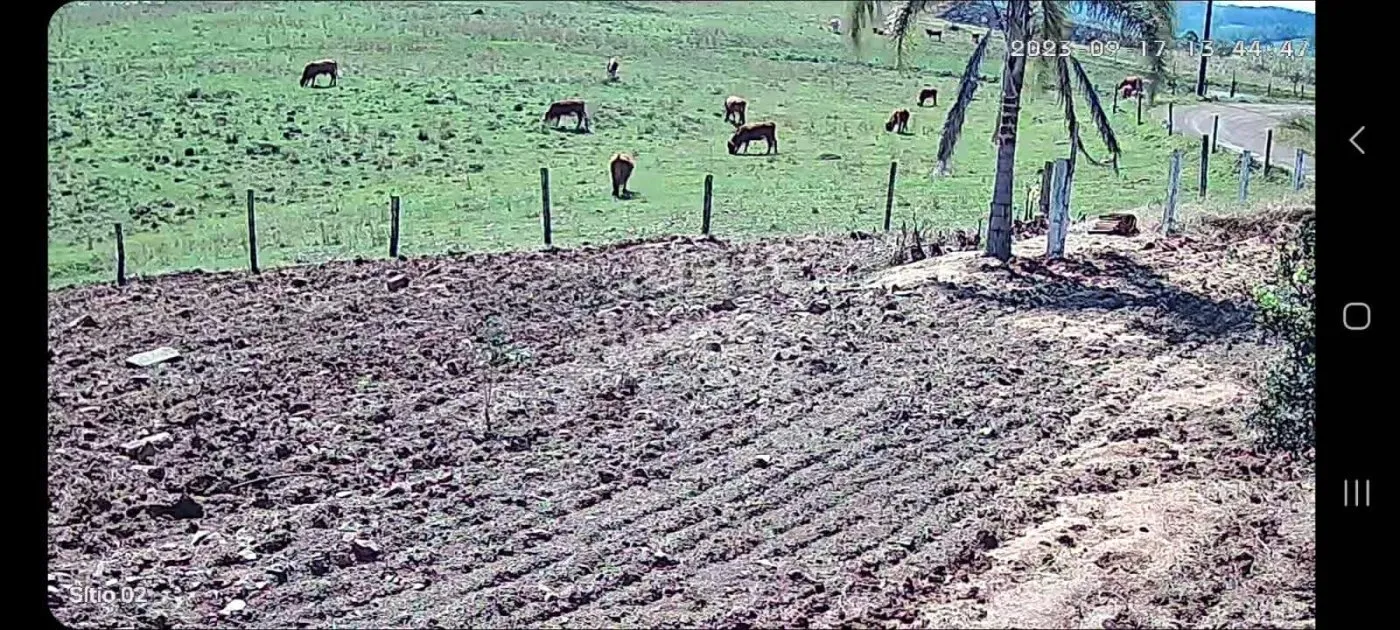 Imagem Chácara para Venda em Passo dos Ramos, Santo Antônio da Patrulha/RS.