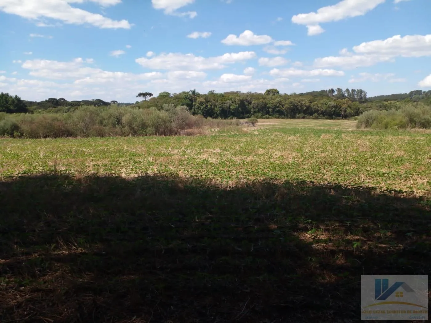 Imagem Terreno para Venda em São José dos Pinhais, Campo Largo da Roseira