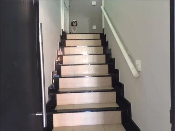 Imagem Oportunidade de ótimo negócio na área central... Barracão comercial em ótima localização com ...