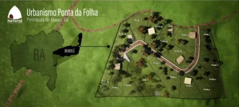 Imagem PROJETO PONTA DA FOLHA