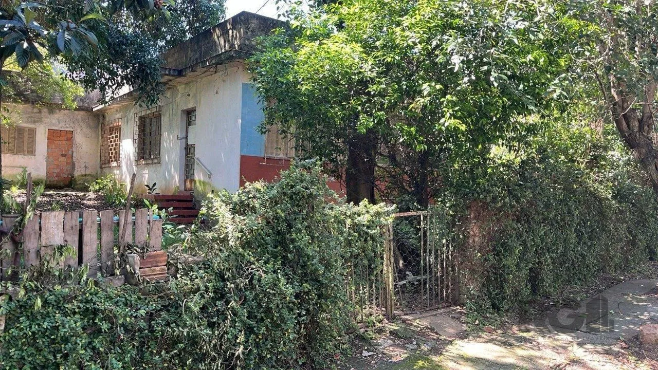 Imagem Terreno em Vila Ipiranga