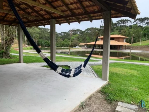 Imagem Chácara linda, açude grande, poço artesiano, 150 metros do asfalto, em Campina grande do sul, PR