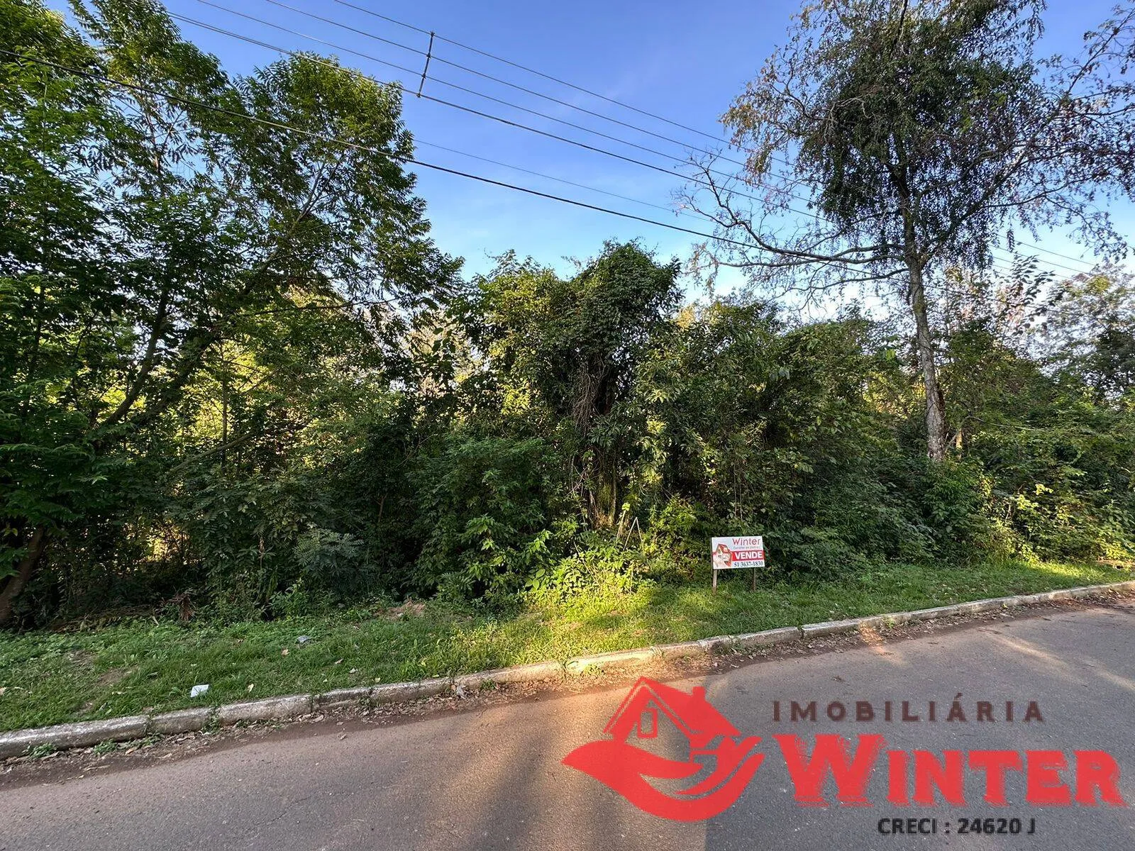Imagem Lote de frente ao Parque Municipal.