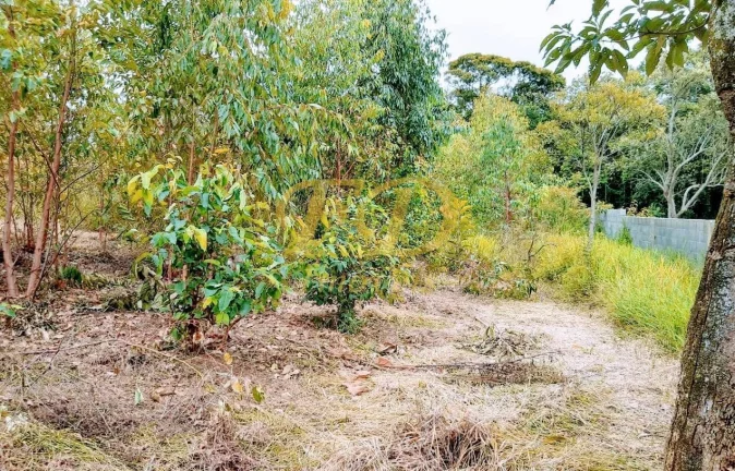 Imagem Chácara em Terra Preta - Mairiporã