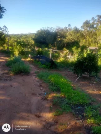 Imagem RURAL CHÁCARA
