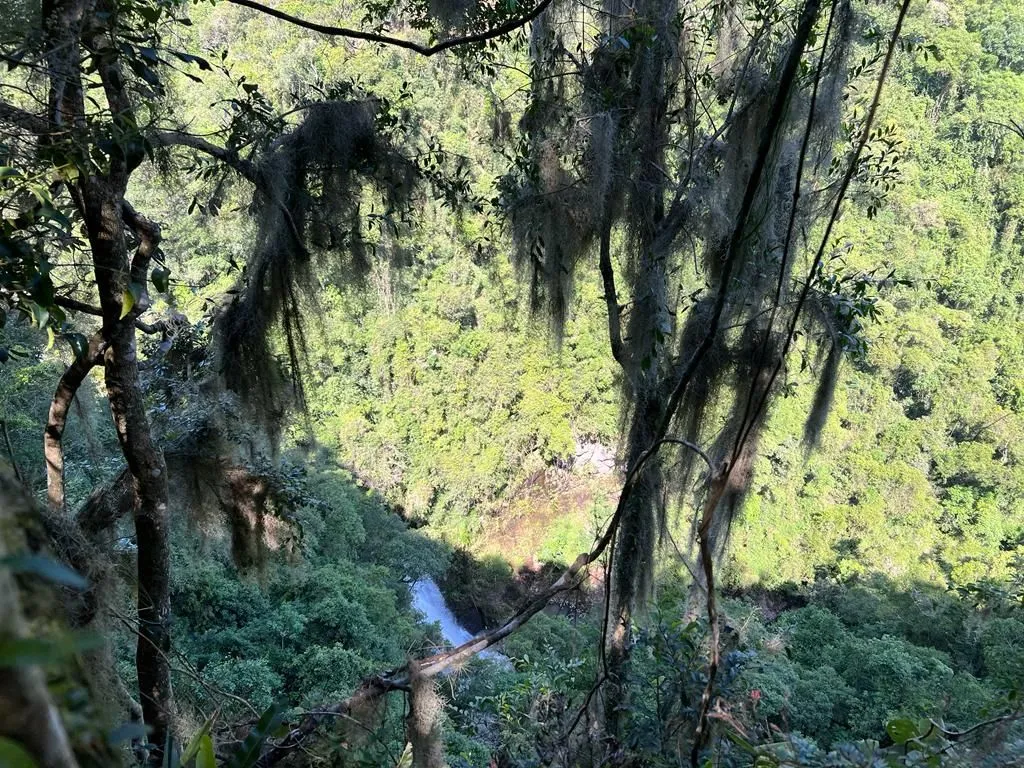Imagem Terreno à venda em Gramado, Carazal, 20000m2