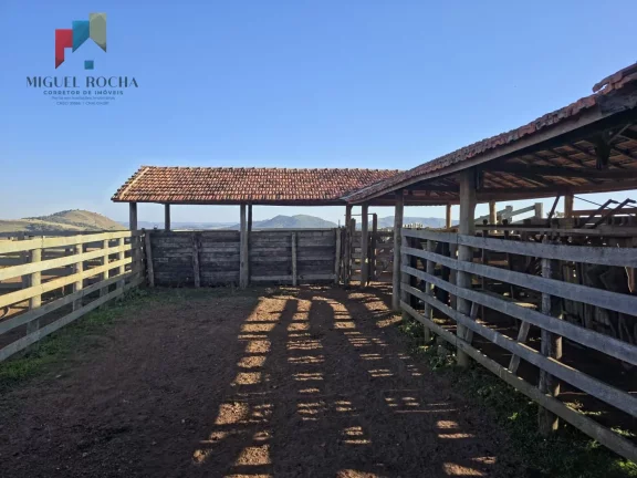Imagem Fazenda a venda Capão Bonito SP