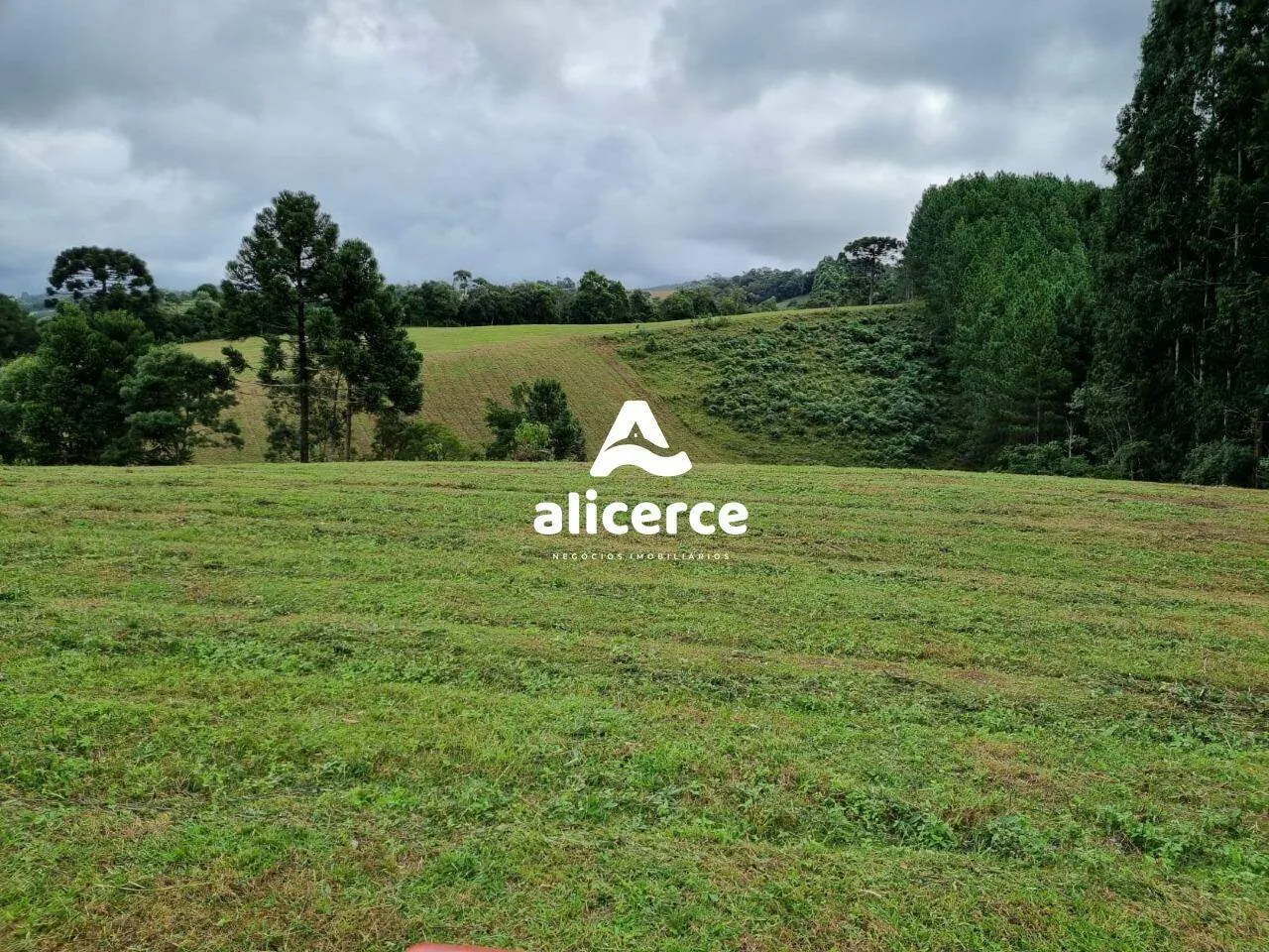 Imagem Terreno à venda com , 30.000m² em Vargedo Rancho Queimado