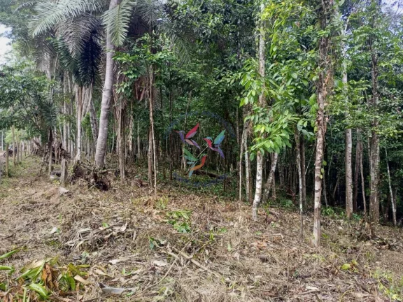 Imagem ÁREA DE 9.000 M2 EM SAPIRARA
