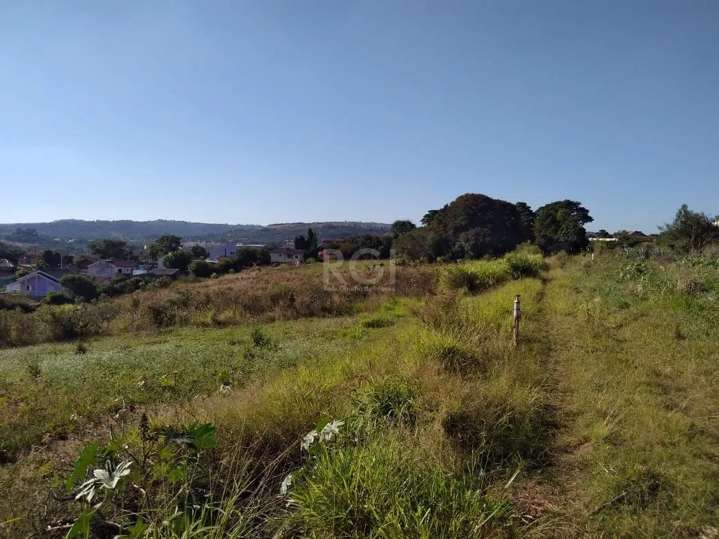 Imagem Area para Venda - 36.900m² - Campo Novo