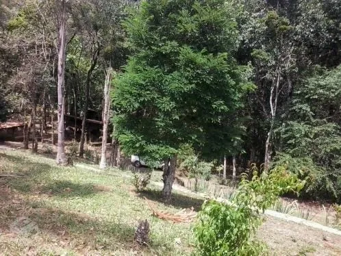 Imagem Chácara à venda 4 Quartos, 2 Suites, 52000M², Zona Rural, Santo Antônio do Pinhal - SP