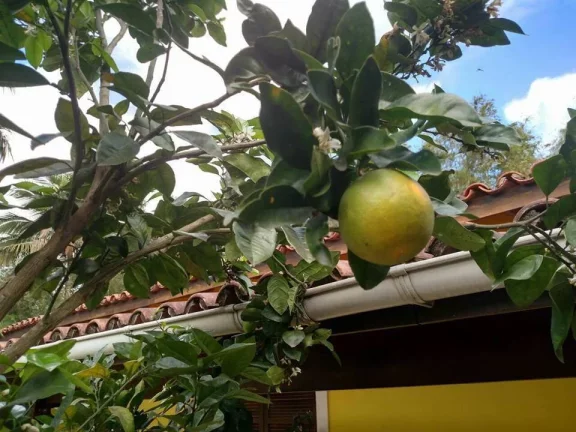 Imagem Casa de campo na praia - Massaguaçu - Caraguatatuba - SP
