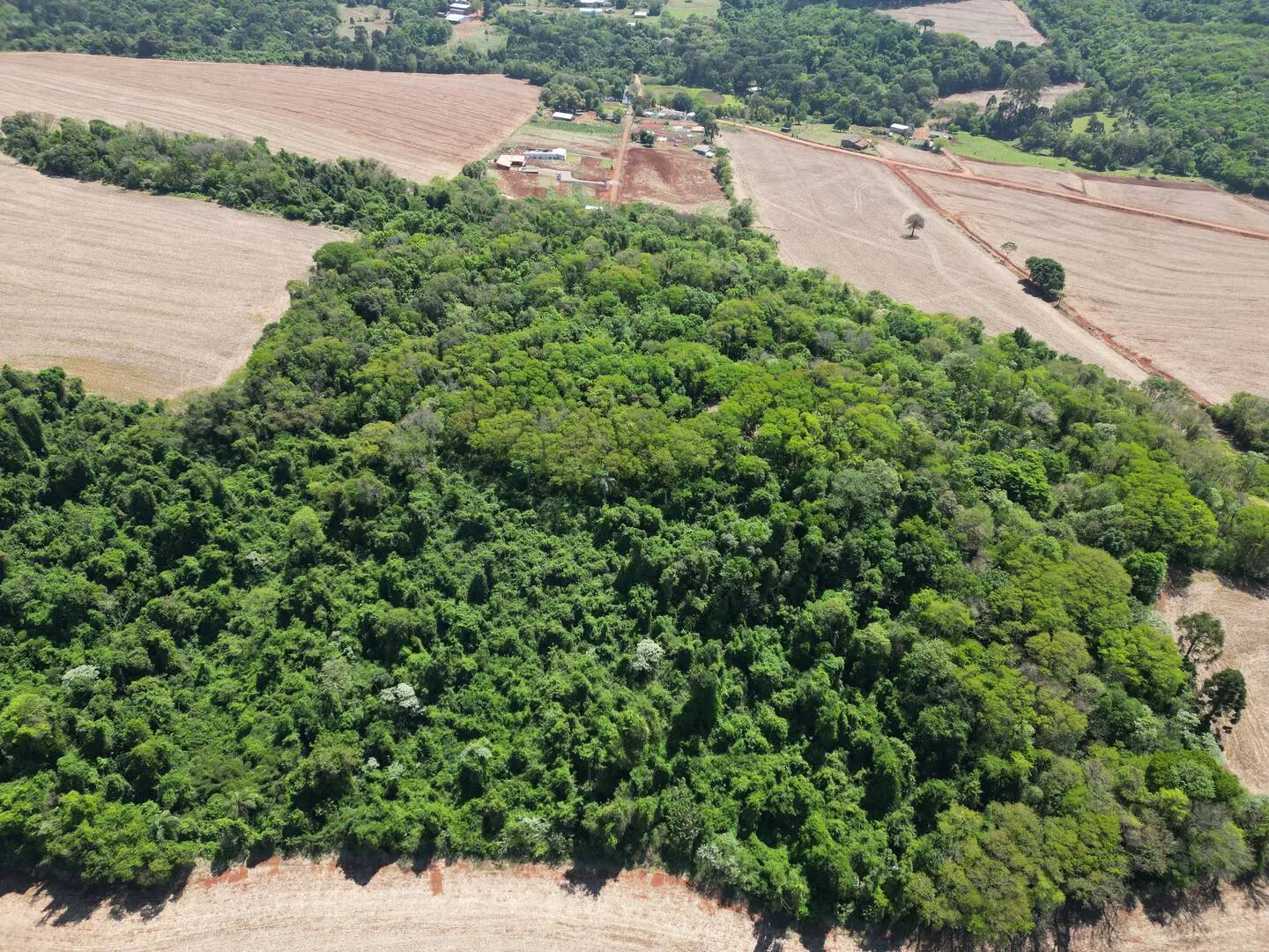 Imagem Chácara a venda em Cascavel, com 2,0992 hectare cada uma e matrícula indiviauais.