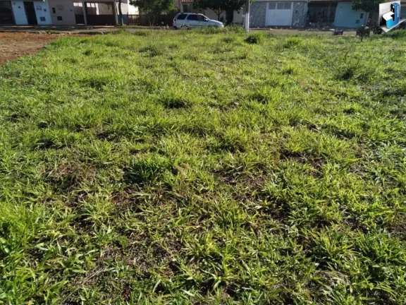 Imagem Terreno à Venda no Centro de Quadra, SP – Localização Privilegiada