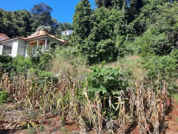 Imagem Terreno para Venda em Concórdia, Itaíba