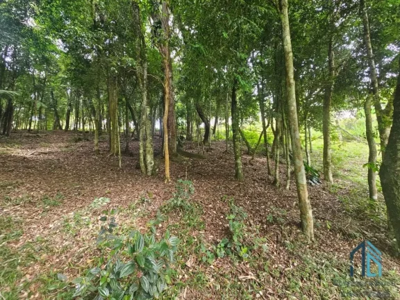 Imagem Chácara 04 casas, um comércio, tanque de peixes, ótimo investimento em QUATRO BARRAS PR
