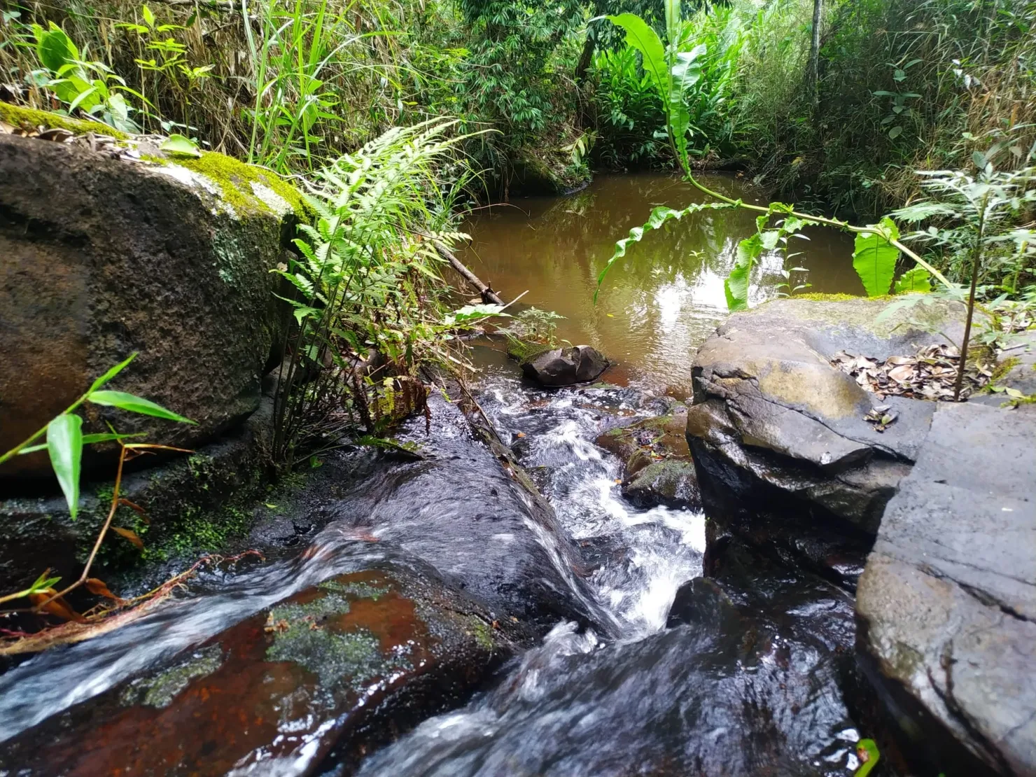 Imagem Chácara à venda 1700000M², Centro, São Luiz do Paraitinga - SP