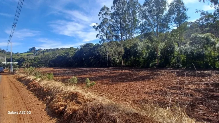 Imagem Área Agrícola para Venda em Concórdia, Interior