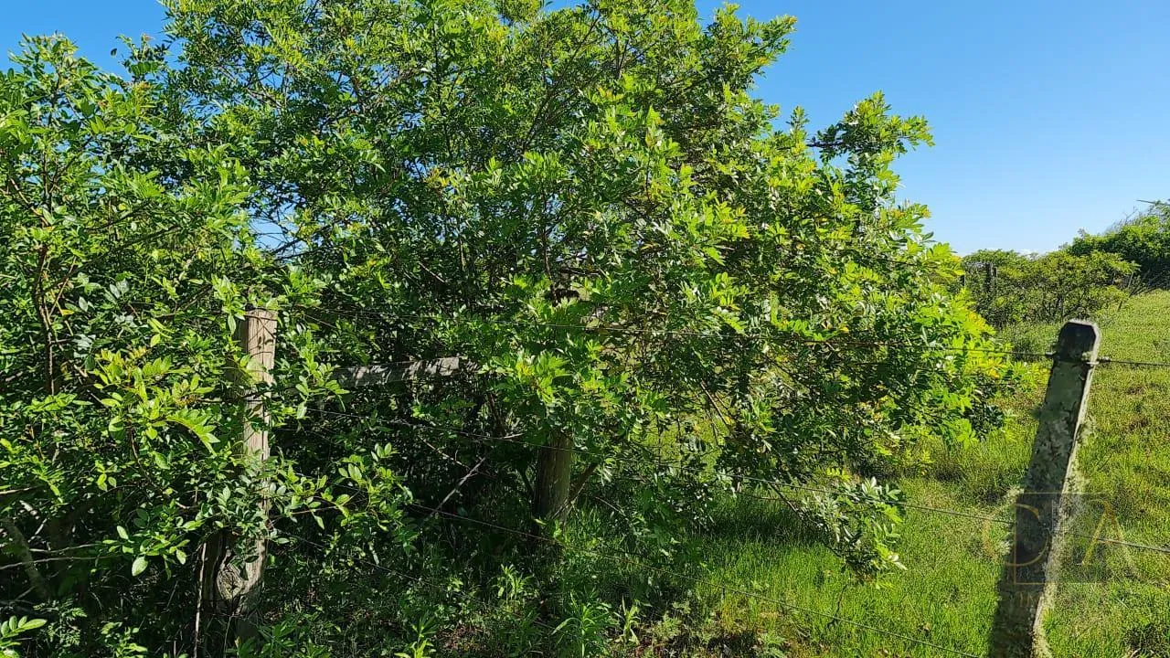 Imagem Terreno para Venda em Rio Grande, Cassino